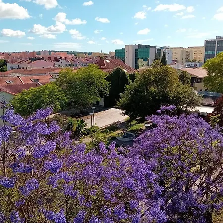 Blue - Metro At Your Door Apartment